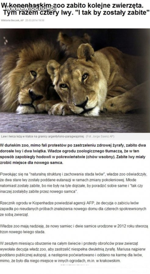 Człowiek-to brzmi dumnie.