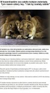 Człowiek-to brzmi dumnie.