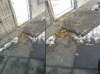 Przed wejściem do sklepu na wiosce 