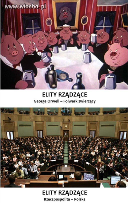 Cała prawda