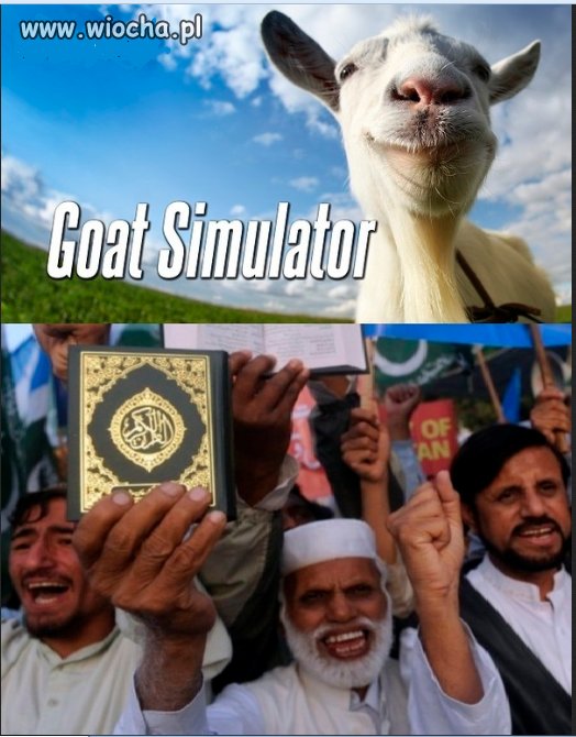 Symulator kozy