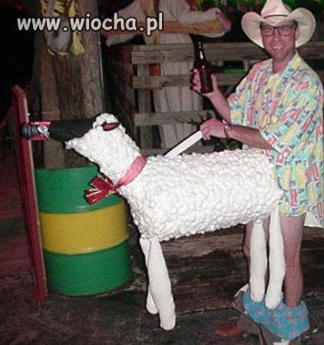 Strój na Halloween