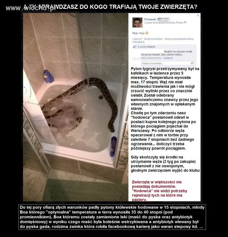 Dręczyciel zwierząt