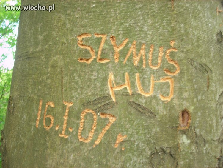 Miłość
