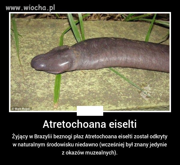 Bóg miał zaje*iste poczucie humoru