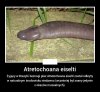 Bóg miał zaje*iste poczucie humoru
