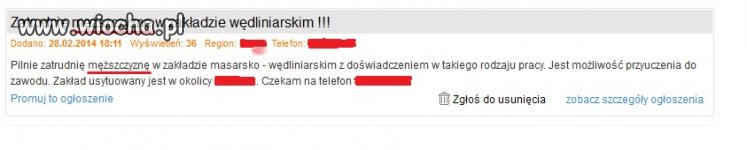 Ojczyzna Polszczyzna