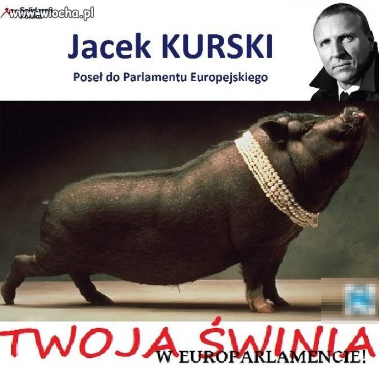 Plakat wyborczy Solidarnej Polski.