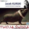 Plakat wyborczy Solidarnej Polski.