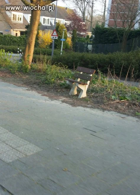 Gdzieś w Holandii