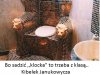 Kibelek Janukowycza