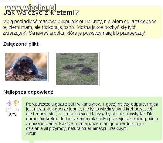 Krecik
