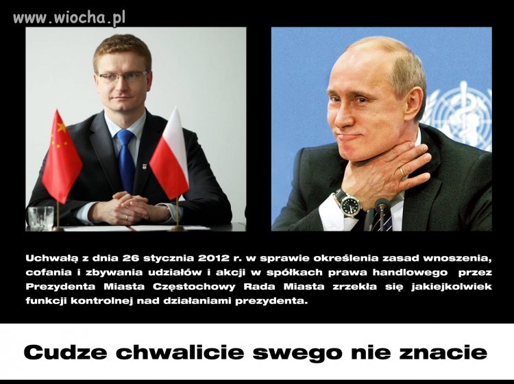 Demokracja samowolna