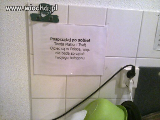 Biuro pośrednicze w Holandii 