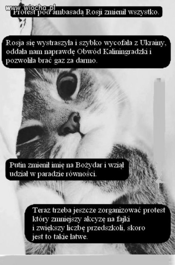 Dla myślących: bierzmy przykład ze Szwajcarii
