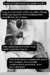 Dla myślących: bierzmy przykład ze Szwajcarii