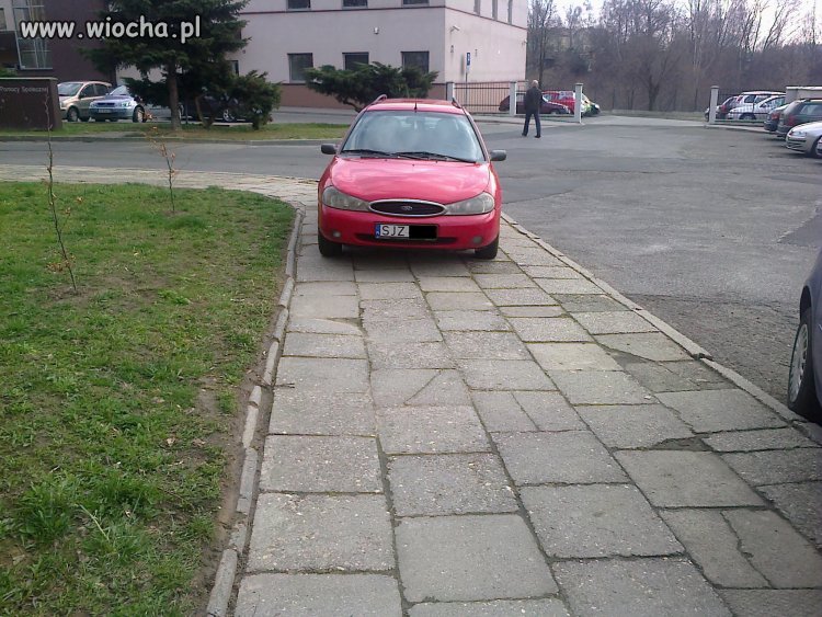 Jastrzębie-Zdrój mistrzyni parkowania