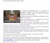 Stop Pedofilii !