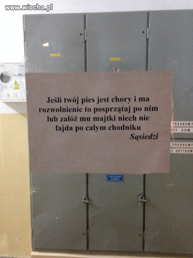 Szybko krótko