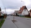 Akcja posadź drzewko