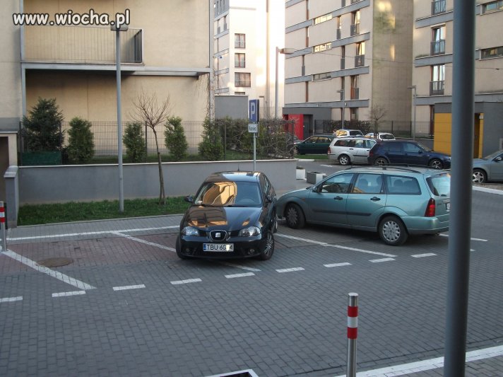Z cyklu mistrzowie parkowania