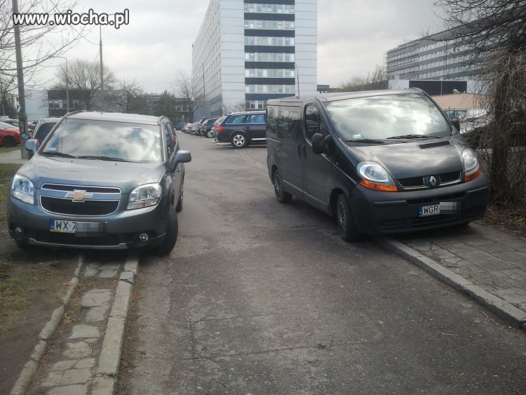 Mistrzowie parkowania...