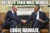 Male Hawaje