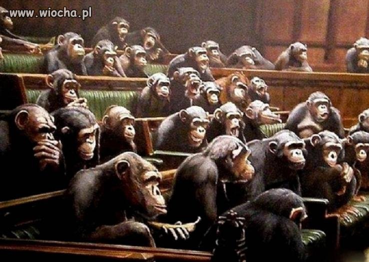 Polski sejm