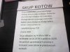Skup kotów...