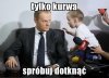Wzrok