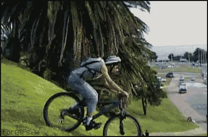 Freestyle