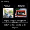 Kwwiaty Polskie