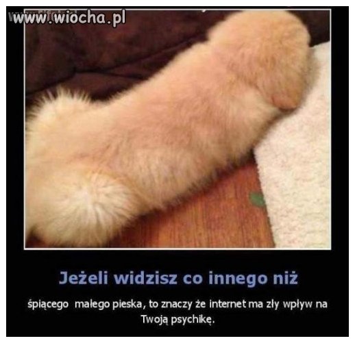 Co widzisz 