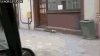 Jak wabi się ten piesek?