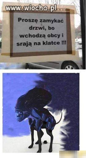 Bezczelni obcy