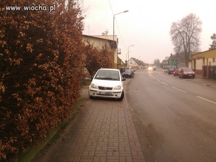 Mistrzyni parkowania