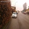 Mistrzyni parkowania