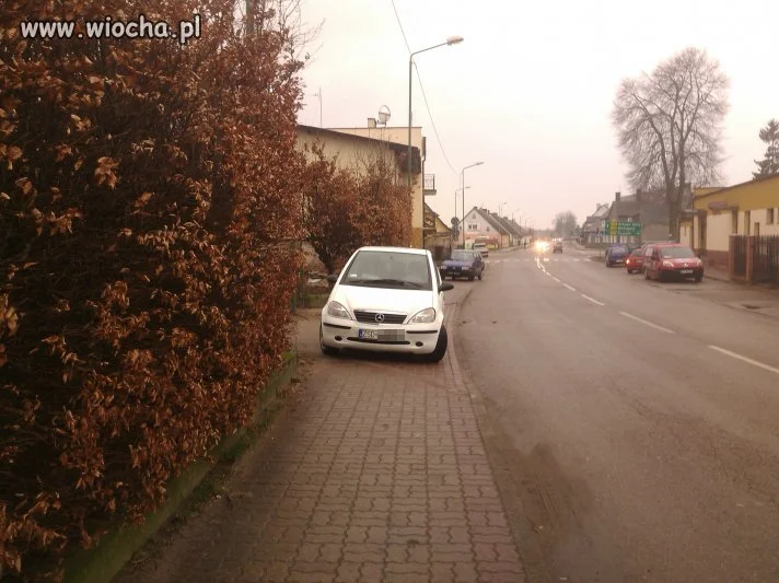 Mistrzyni parkowania