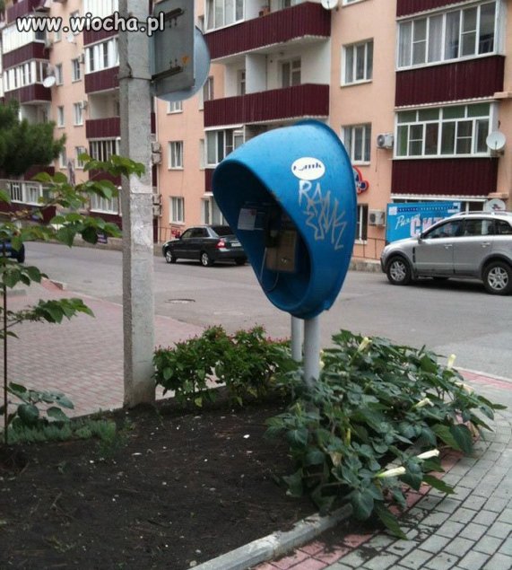Dzwoń 