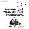 Wisna Idzie