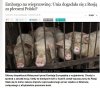 Tuskolandia, Unijny kraj, który działa na szkodę