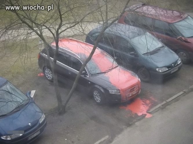 Dobry "przyjaciel", czy zdradzona kobieta?