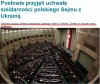 Hurraaa! POlskie (p)Osły uratowały Ukrainę!