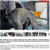 Za takie zachowanie powinni dostać z 5 lat