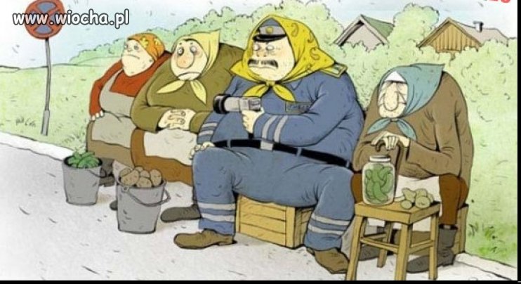 Polska straż miejska