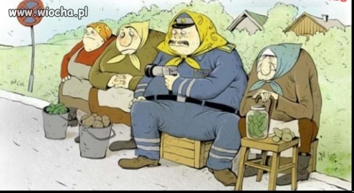 Polska straż miejska