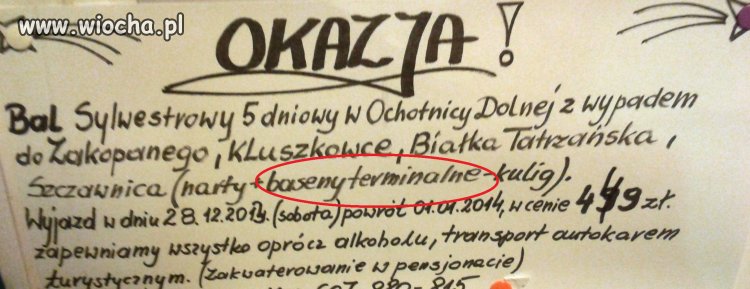 Baseny terminalne...