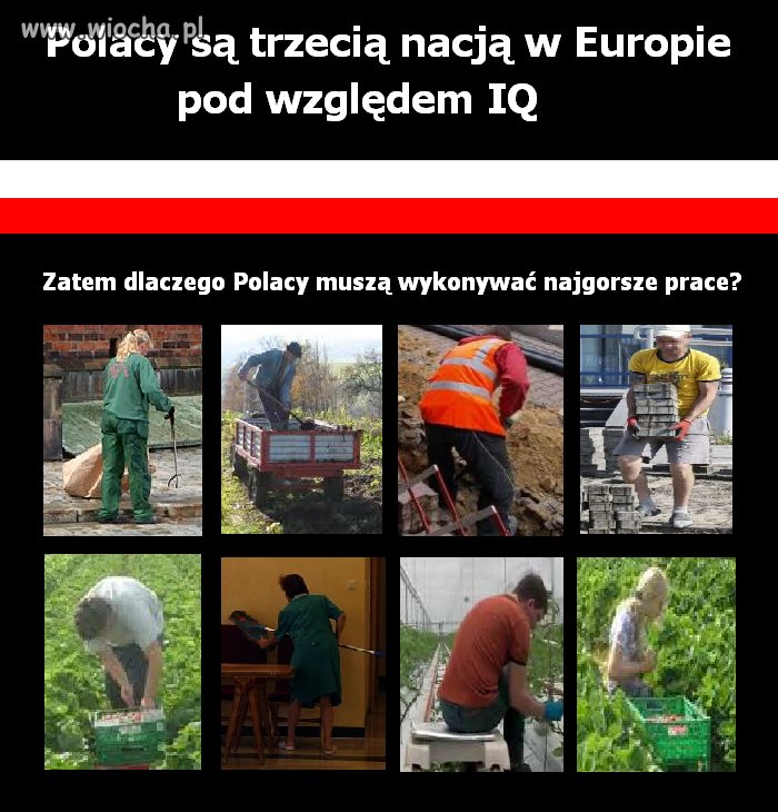 Dlaczego?