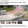 Bareja wiecznie żywy...