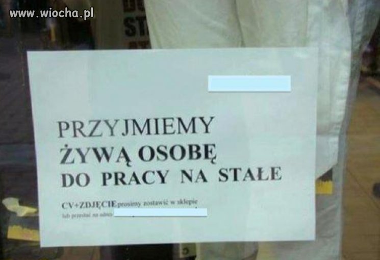 Przyjmiemy żywą